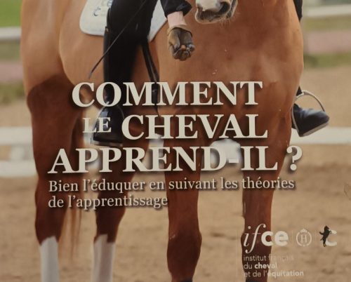 Comment le cheval apprend-il ?
